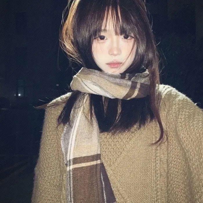 候鸟1994